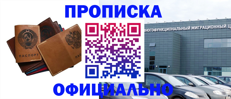 прописка в квартире в Ковылкино